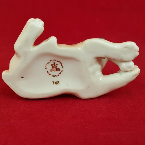 Royal Copenhagen Mini Collection Bull Dog Puppy With Bone No748 - RCH 5492 - Picture 3 of 8