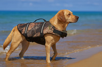 Hundeschwimmweste M Camouflage Rettungsweste Hunde Schwimmweste Weste Hunde