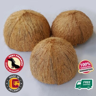 COCONUT SHELL HALVES Ceylon Eco Friendly 100% Natural  Pure Coconut Shell