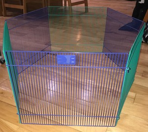 ferret pen