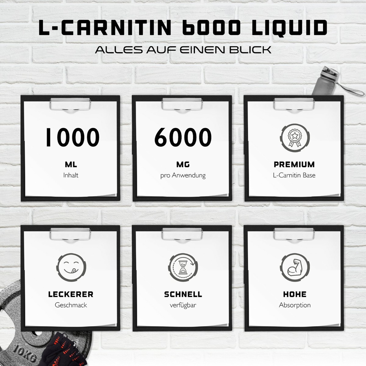 l-carnitine or l-arginine for sperm l arginine l carnitine sperm Should I Take L-Carnitine? NZProtein