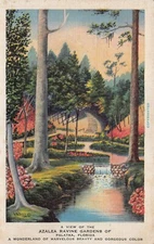 Palatka FL Florida Downtown Azalea Festival Ravine Gardens Park Vtg Postcard T8