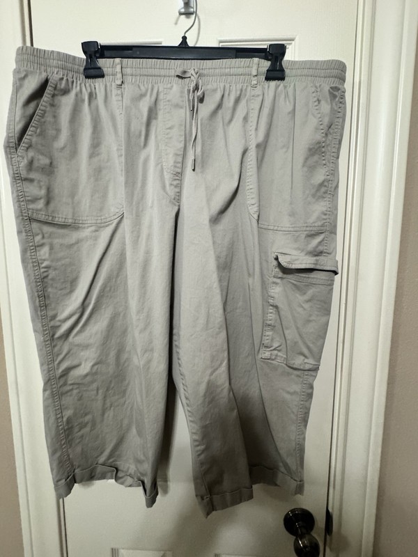 Allison Daley II Light Tan Pull On Pants ~ High Rise ~  Sz 24W ~ 29.5" Inseam