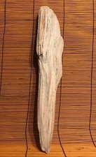 Beautiful 13" DRIFTWOOD Piece Terrarium Taxidermy Aquarium Art Reptile DECOR
