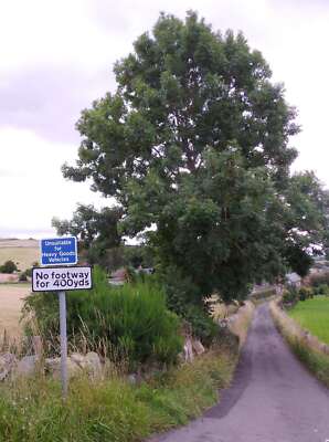 Photo 6x4 Back road into Brunton Criech No pedestrian pavement; HGVs at r c2015