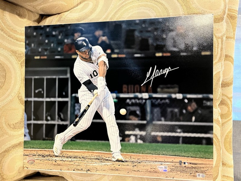 Chicago White Sox Yoan Moncada Signed 16x20” Photo Fanatics & MLB COA Jersey Bat