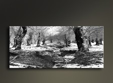 Quadro su tela paesaggio invernale con neve 1184