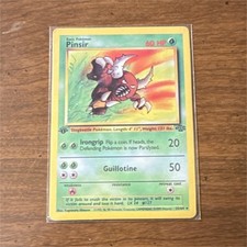 raikou pokemon card amazing rare Pokemon - Pinsir (9/83) main image 1