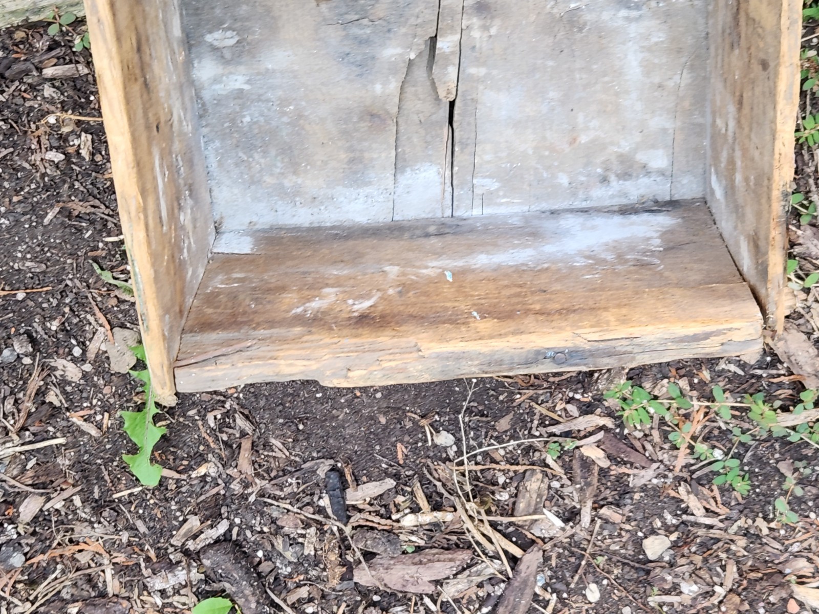 Herald Brand Prunes Wood Box Shipping Crate California Fruit Vintage Distressed