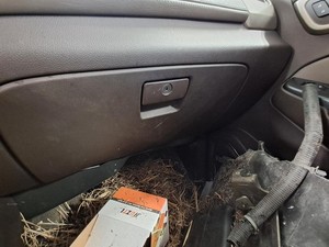 2015 GMC YUKON XL 1500 Glove Box