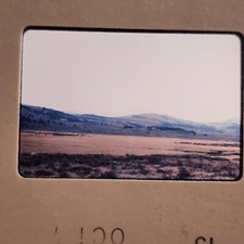 1970s Yellowstone National Park Snapshot Photo, Landscape