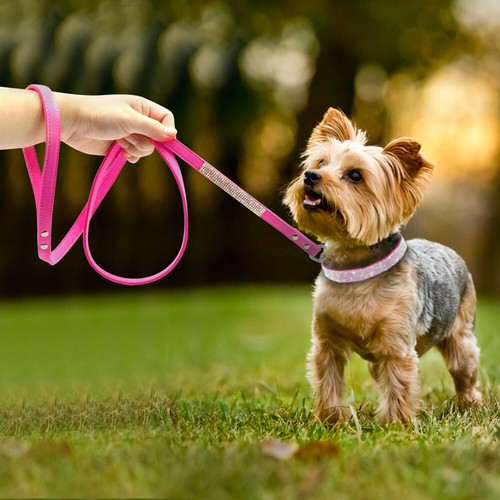 Bling Rhinestones Diamante Suede Leather Small Dog Pet Puppy Walking Lead Leash - Picture 11 of 17