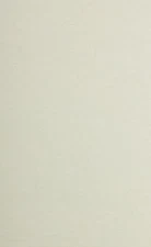 ECHOES OF CHONGQING: WOMEN IN WARTIME CHINA By Danke Li - Hardcover **Mint**