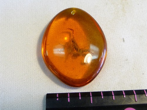 Necklace BROWN SCORPION AMBER lucite tear*Amber bead