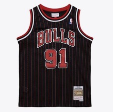 Chicago Bulls 1995-96 Dennis Rodman M N HWC Swingman Jersey