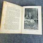 Foto 12 di 12