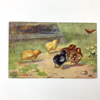 Easter Greetings Vintage Antique Postcard, Raphael Tuck & Sons COME AND CATCH IT