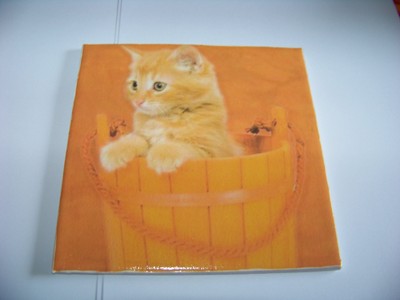 Deko Fliese süße Katze im Eimer Orange Katzenkind | eBay