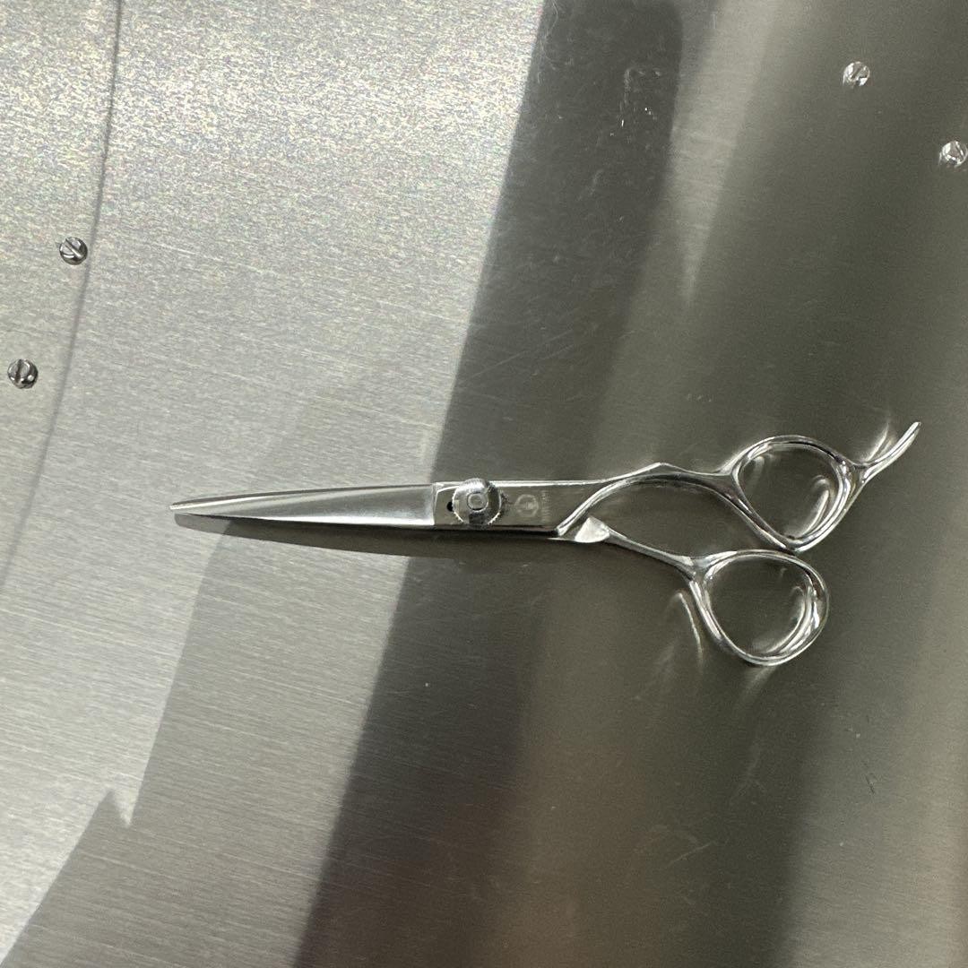 Mizutani Scissors Styling Scissors | eBay