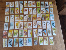 Vintage Retro Collectable Tea Cards 65 Brooke Bond Tea Vanishing Wildlife