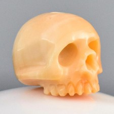 Perle Tête de Mort 11.75mm Abricot Coquillage Carvée Main Percée Verticale 2.05g