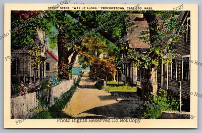 Vintage Postcard Street Scene Way Up Along Provincetown Cape Cod Massachusetts