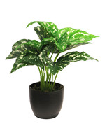 KüNstliche Aglaonema Sunshine Im Topf Kolbenfaden Kunstpflanze Ca. 26 Cm