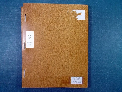 Turkey Collection 1862-1930 Album Pages, New Used Stamps Classics CV