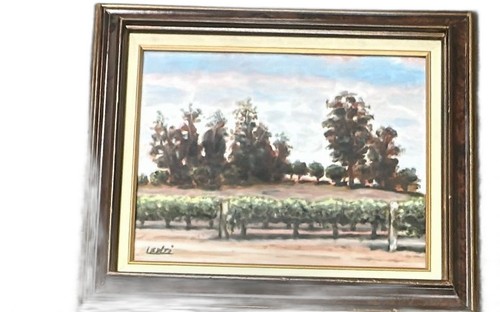 Gary Lenzi Original Oil Painting Vineyard Landscape 14x10 Canvas 18x15 Frame