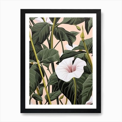 Blume Illustration Morning Glory 3 gerahmtes Wandbild Poster Leinwanddruck Bild