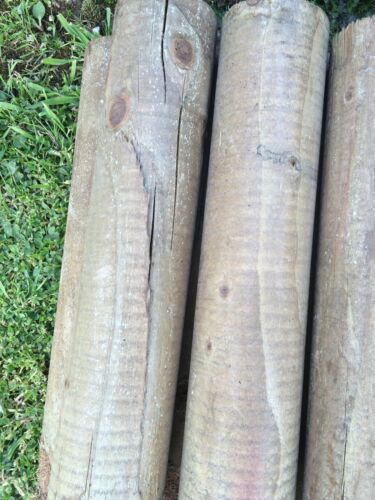 16 pioli in legno 60 mm bordo tondo pali da giardino lunghi 16" trattati, appuntiti - Foto 7 di 9