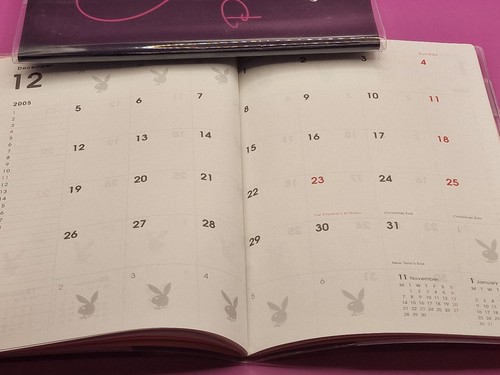 PLAYBOY Calendar Notebook 2005 Datebook 2pcs - Picture 6 of 10