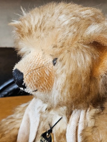 LIBRO DE TRAPO DEAN VINCE OSO DE PELUCHE EDICIÓN LIMITADA 37CM - Imagen 13 de 18