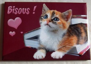 Résultat de recherche d'images pour "Chats humour"