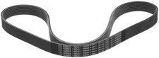 Genuine Nissan Serpentine Belt 11720-ED00C