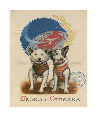 Soviet Russian Space Poster On Canvas Print 8x10'' BELKA & STRELKA #001