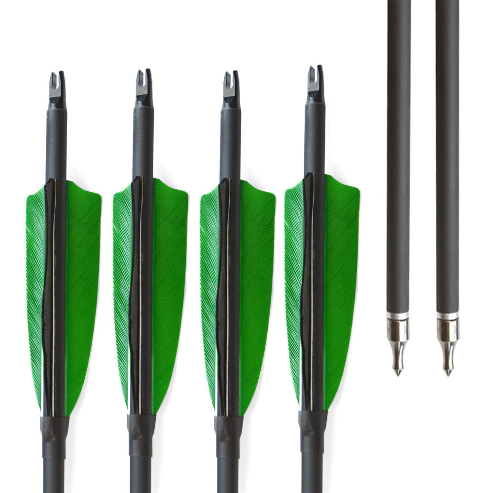 6/12X Carbonpfeile 30" Jagdpfeile Naturfedern SP500 Recurve