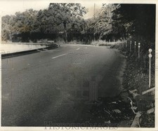 1966 Press Photo A lone motorist driving along 7900 Palmetto Street - noc02740
