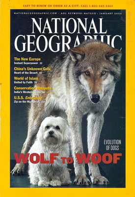 Vintage January 2002 National Geographic Magazine Wolf to Woof Evolution of Dogs