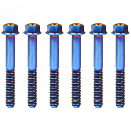 6pcs M8 Titanium Bolt Small Flange Hex Screw 15 20 25 30 35 40 45 50 55 60 65mm - Picture 9 of 17