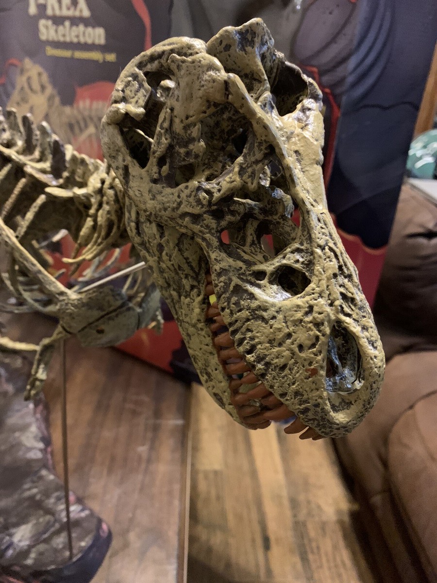 1/10 T-REX 全長約1200mm オンラインストア通販店 - femalehealth.at
