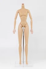 Integrity Toys NuFace 1.0 (NF1.0) Articulated Body 1/6 Scale Japan Skin Tone