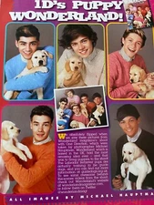 One Direction, Full Page Vintage Pinup