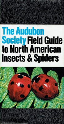 National Audubon Society - National Audubon Society Field Guide to Insects and S