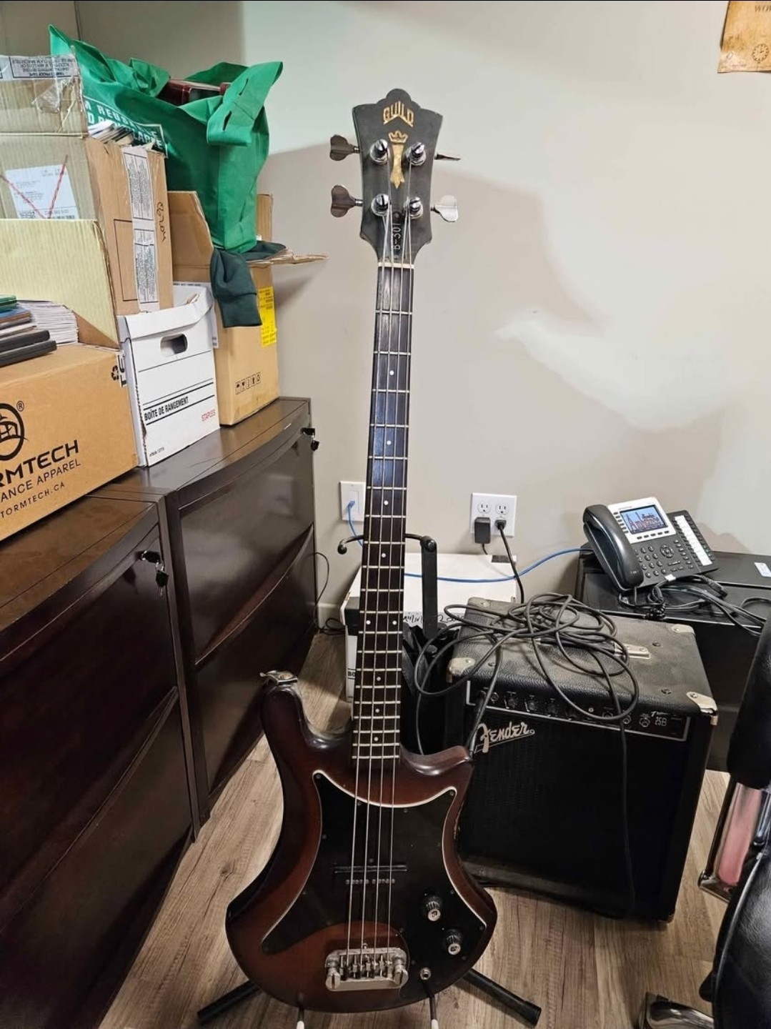 Guild B301 Bass 1977 - One Piece Mahogany, All Original