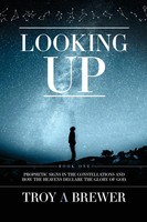 Looking Up Troy A Brewer Taschenbuch Kartoniert / Broschiert Englisch 2016