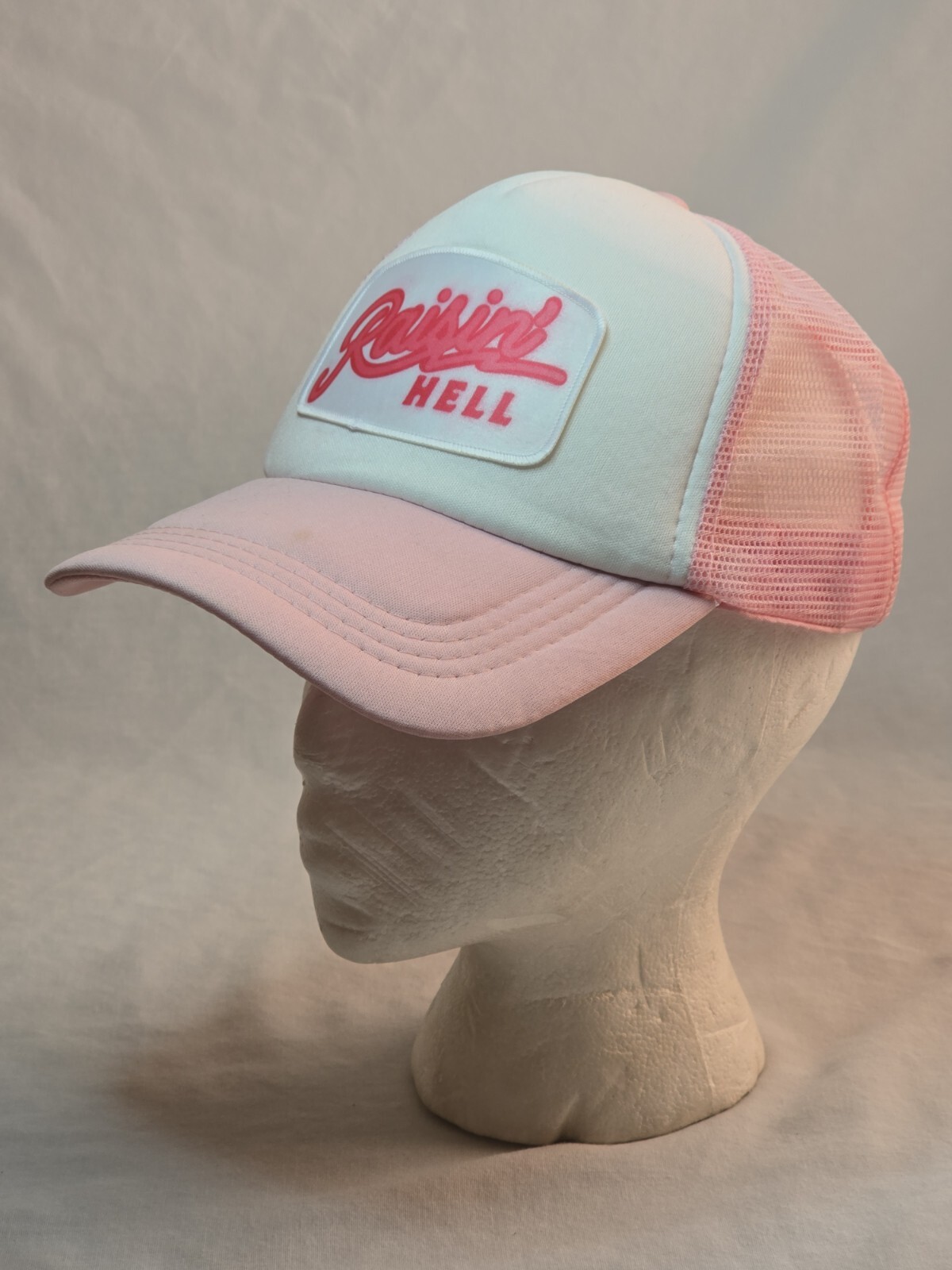 Raisin Hell Mesh Adjustable Snapback Direct Embro… - image 6