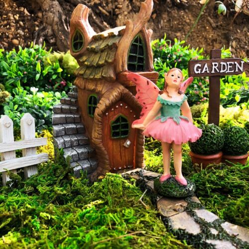Mystical Complete Fairy Garden Set Deluxe Fairy Garden Kit Fairy House Fairy Sig