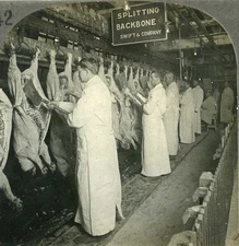 Illinois ~ CHICAGO Splitting Backbones & Inspection Of Hogs Swift & Co ve142 fx
