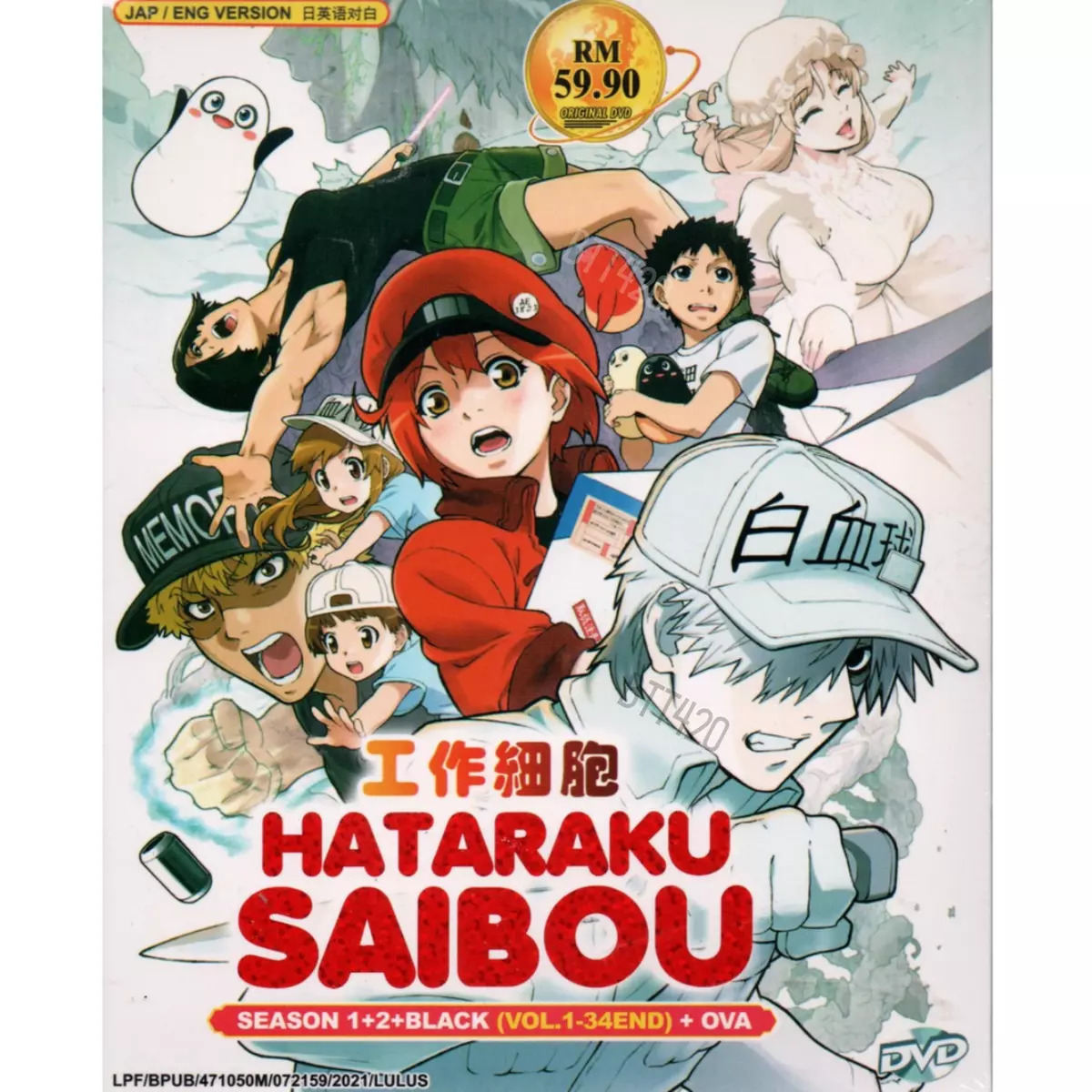 DVD Anime Hataraku Saibou /Cells at Work Complete Series (1-13) English  Subtitle